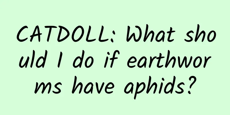 CATDOLL: What should I do if earthworms have aphids?