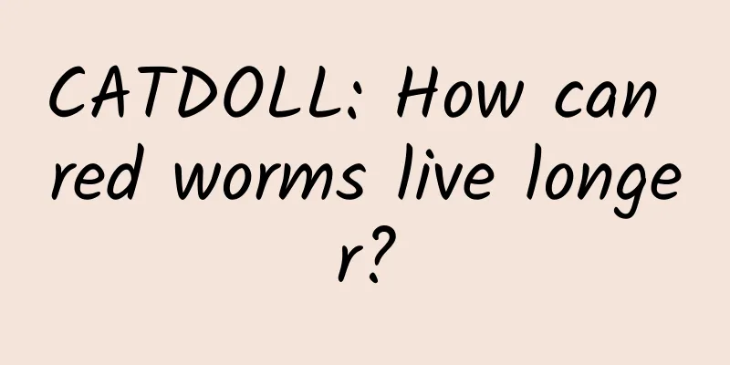 CATDOLL: How can red worms live longer?