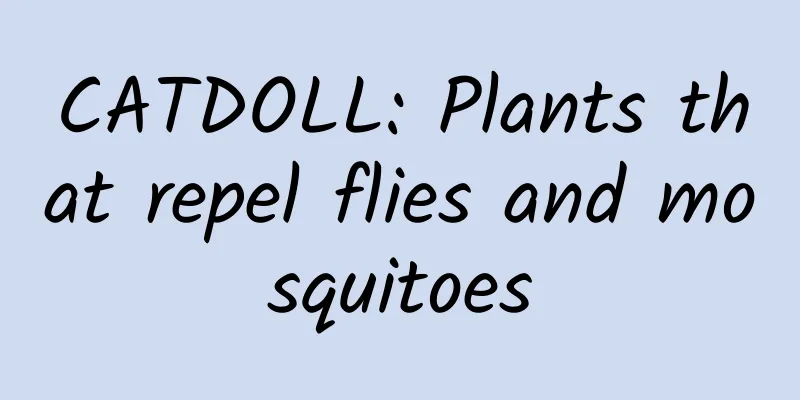 CATDOLL: Plants that repel flies and mosquitoes