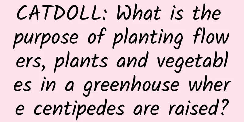 CATDOLL: What is the purpose of planting flowers, plants and vegetables in a greenhouse where centipedes are raised?