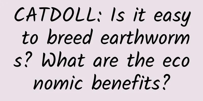 CATDOLL: Is it easy to breed earthworms? What are the economic benefits?