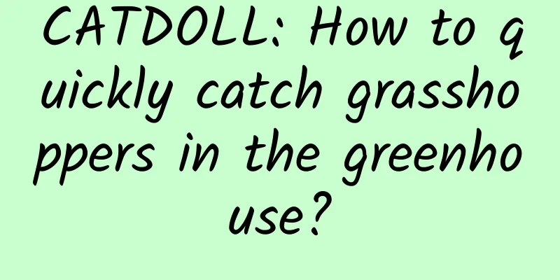 CATDOLL: How to quickly catch grasshoppers in the greenhouse?