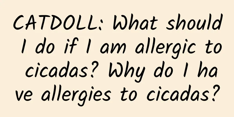 CATDOLL: What should I do if I am allergic to cicadas? Why do I have allergies to cicadas?