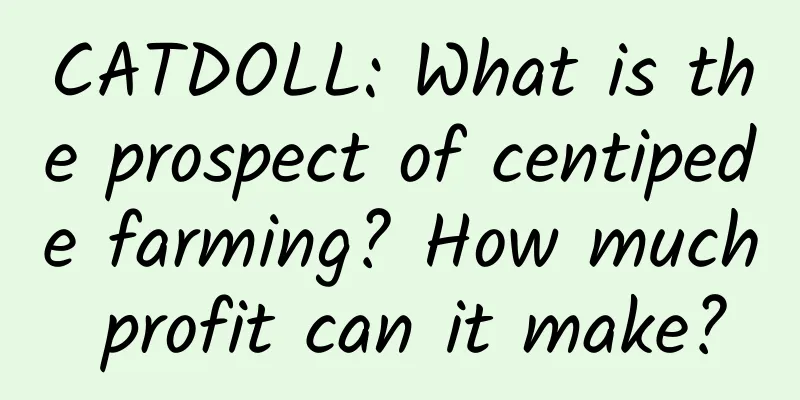 CATDOLL: What is the prospect of centipede farming? How much profit can it make?