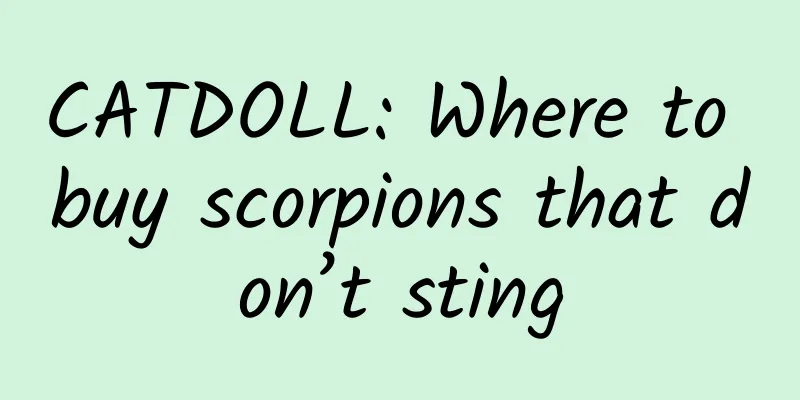 CATDOLL: Where to buy scorpions that don’t sting