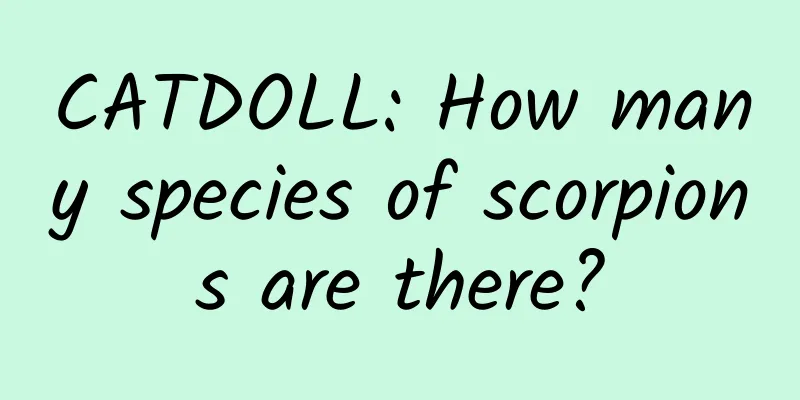 CATDOLL: How many species of scorpions are there?