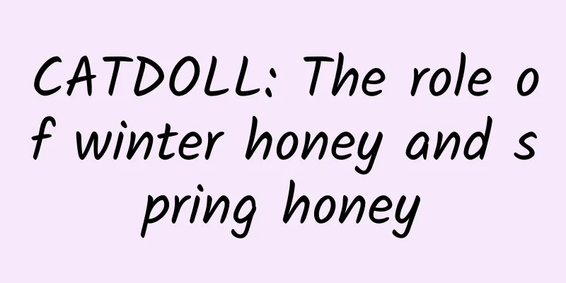 CATDOLL: The role of winter honey and spring honey