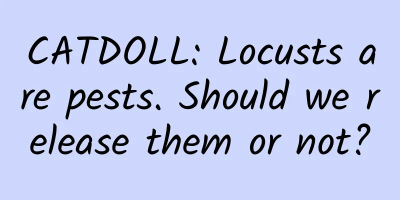 CATDOLL: Locusts are pests. Should we release them or not?