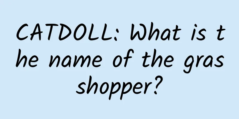 CATDOLL: What is the name of the grasshopper?