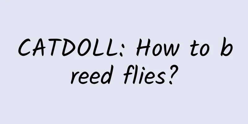 CATDOLL: How to breed flies?