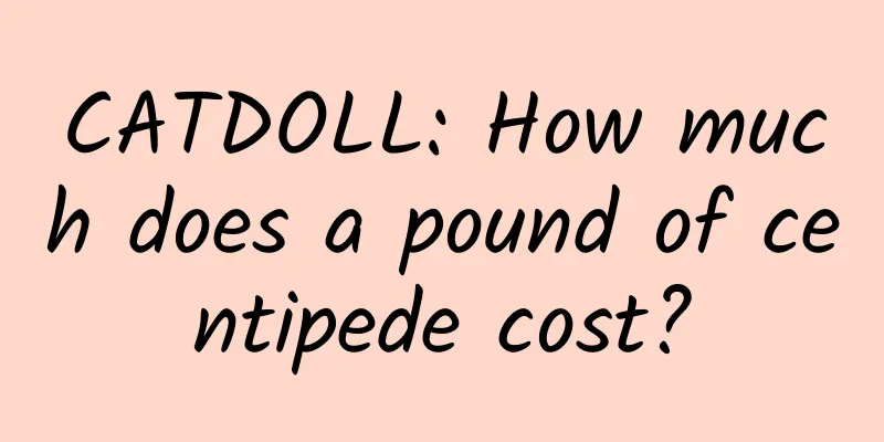 CATDOLL: How much does a pound of centipede cost?