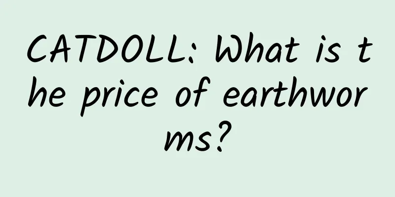 CATDOLL: What is the price of earthworms?