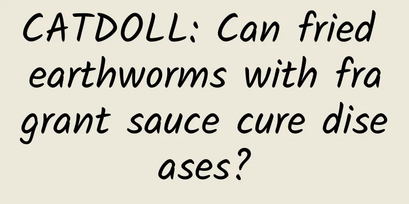 CATDOLL: Can fried earthworms with fragrant sauce cure diseases?