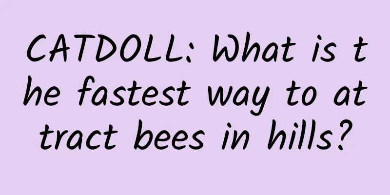 CATDOLL: What is the fastest way to attract bees in hills?