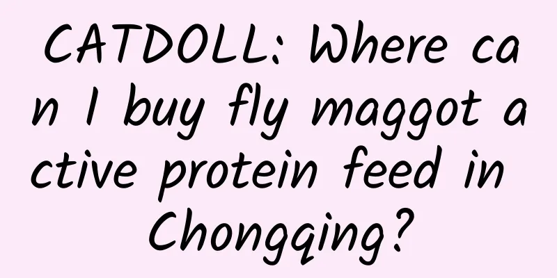CATDOLL: Where can I buy fly maggot active protein feed in Chongqing?