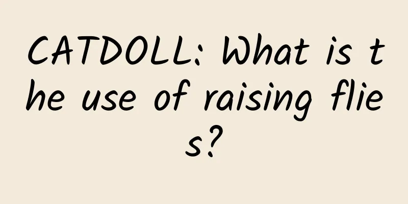 CATDOLL: What is the use of raising flies?