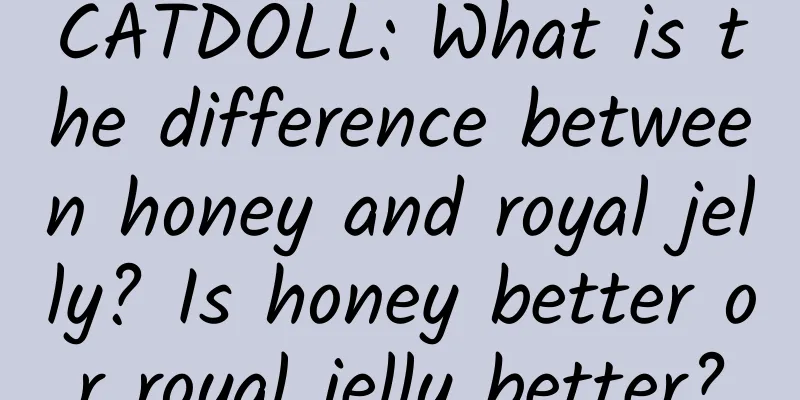 CATDOLL: What is the difference between honey and royal jelly? Is honey better or royal jelly better?