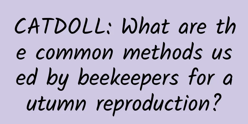 CATDOLL: What are the common methods used by beekeepers for autumn reproduction?