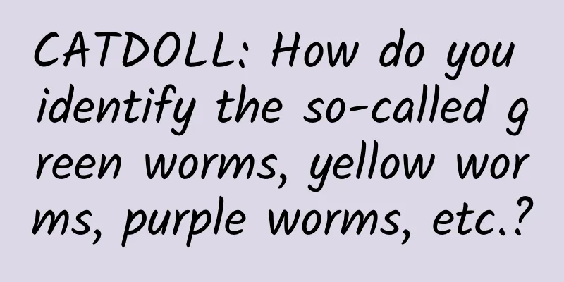 CATDOLL: How do you identify the so-called green worms, yellow worms, purple worms, etc.?