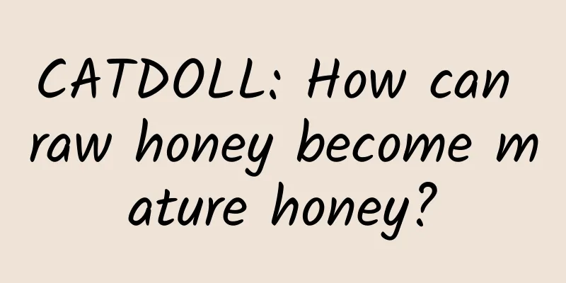 CATDOLL: How can raw honey become mature honey?