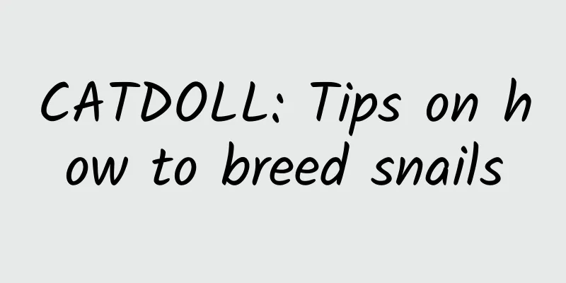 CATDOLL: Tips on how to breed snails