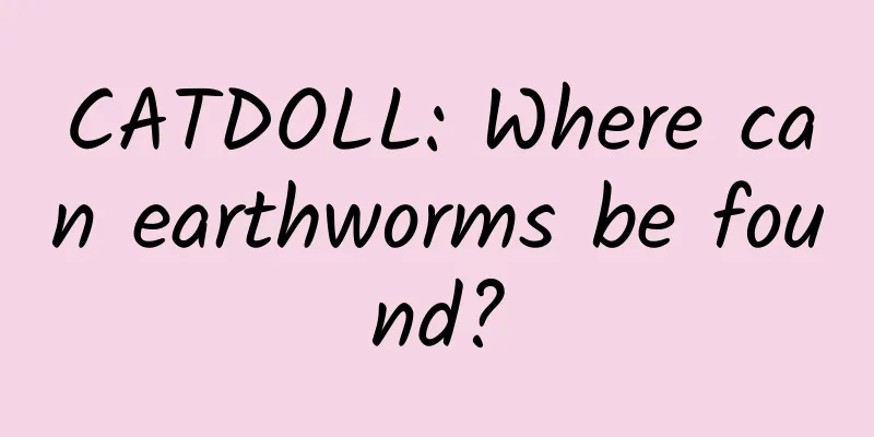 CATDOLL: Where can earthworms be found?