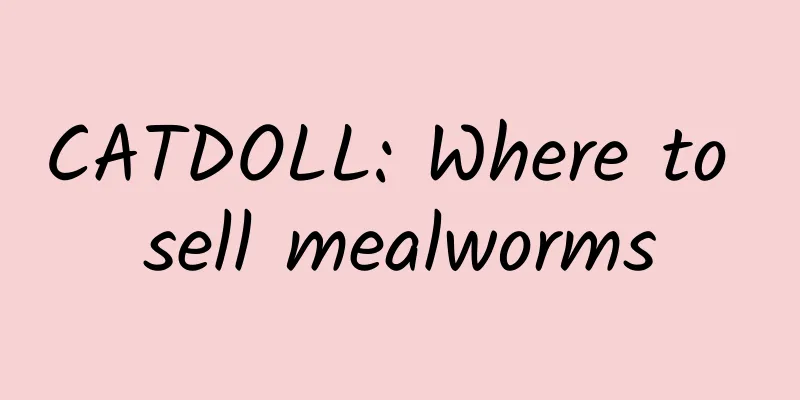 CATDOLL: Where to sell mealworms