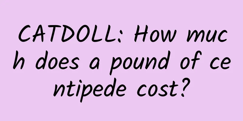 CATDOLL: How much does a pound of centipede cost?