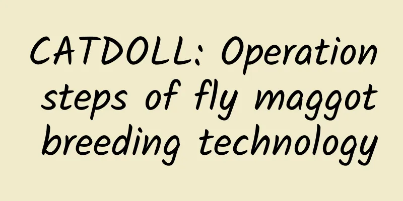 CATDOLL: Operation steps of fly maggot breeding technology