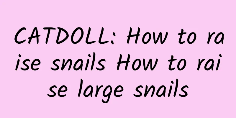 CATDOLL: How to raise snails How to raise large snails