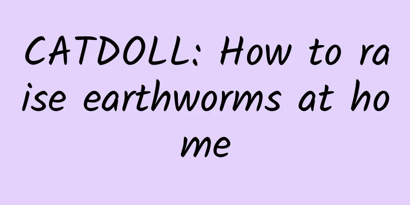 CATDOLL: How to raise earthworms at home