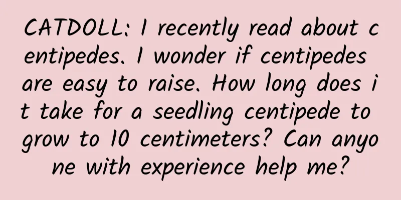 CATDOLL: I recently read about centipedes. I wonder if centipedes are easy to raise. How long does it take for a seedling centipede to grow to 10 centimeters? Can anyone with experience help me?