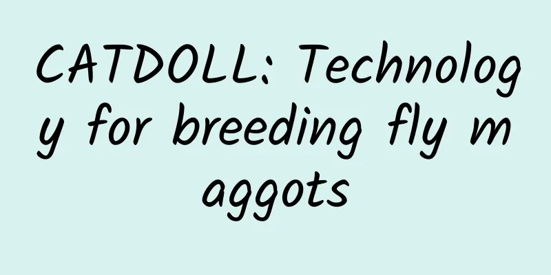 CATDOLL: Technology for breeding fly maggots