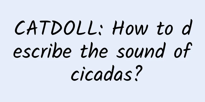 CATDOLL: How to describe the sound of cicadas?