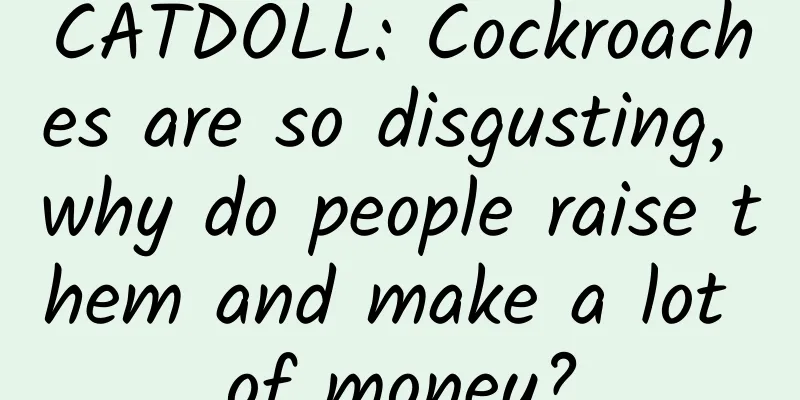 CATDOLL: Cockroaches are so disgusting, why do people raise them and make a lot of money?