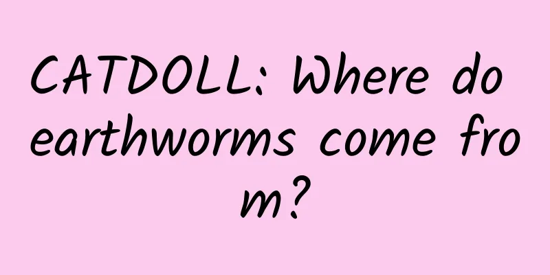 CATDOLL: Where do earthworms come from?