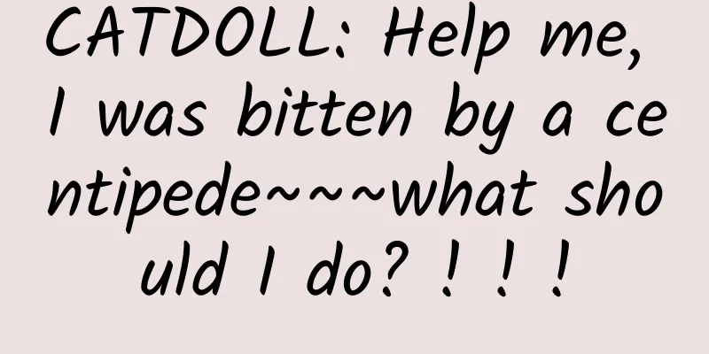CATDOLL: Help me, I was bitten by a centipede~~~what should I do? ! ! !