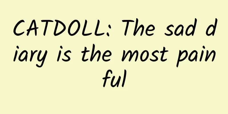 CATDOLL: The sad diary is the most painful