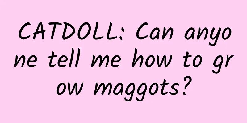 CATDOLL: Can anyone tell me how to grow maggots?