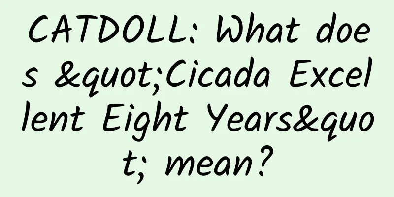 CATDOLL: What does "Cicada Excellent Eight Years" mean?