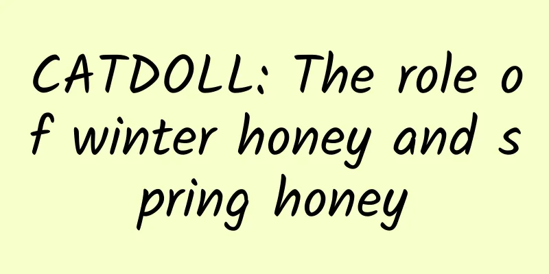 CATDOLL: The role of winter honey and spring honey