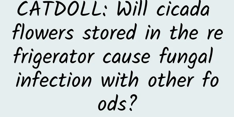 CATDOLL: Will cicada flowers stored in the refrigerator cause fungal infection with other foods?