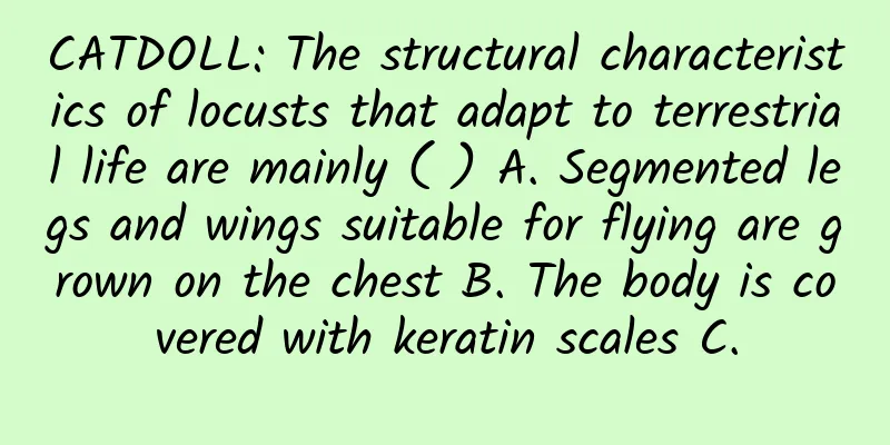 CATDOLL: The structural characteristics of locusts that adapt to terrestrial life are mainly ( ) A. Segmented legs and wings suitable for flying are grown on the chest B. The body is covered with keratin scales C.