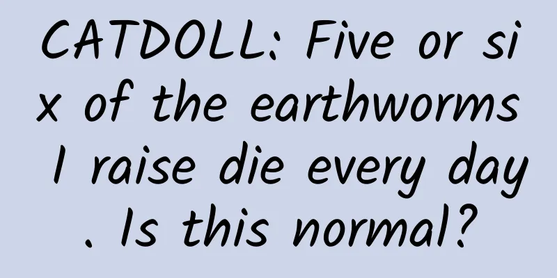 CATDOLL: Five or six of the earthworms I raise die every day. Is this normal?