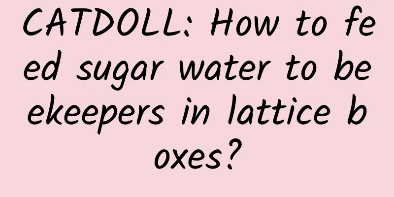 CATDOLL: How to feed sugar water to beekeepers in lattice boxes?