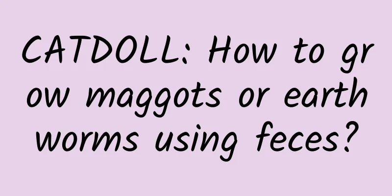 CATDOLL: How to grow maggots or earthworms using feces?