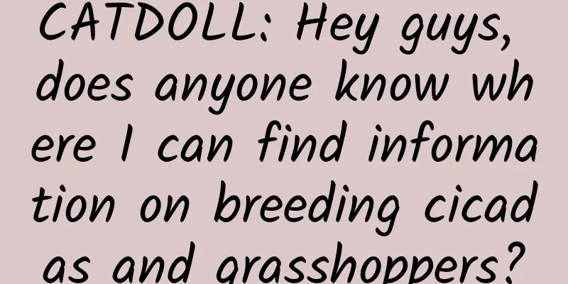 CATDOLL: Hey guys, does anyone know where I can find information on breeding cicadas and grasshoppers?