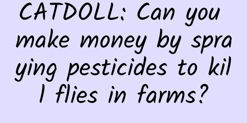 CATDOLL: Can you make money by spraying pesticides to kill flies in farms?