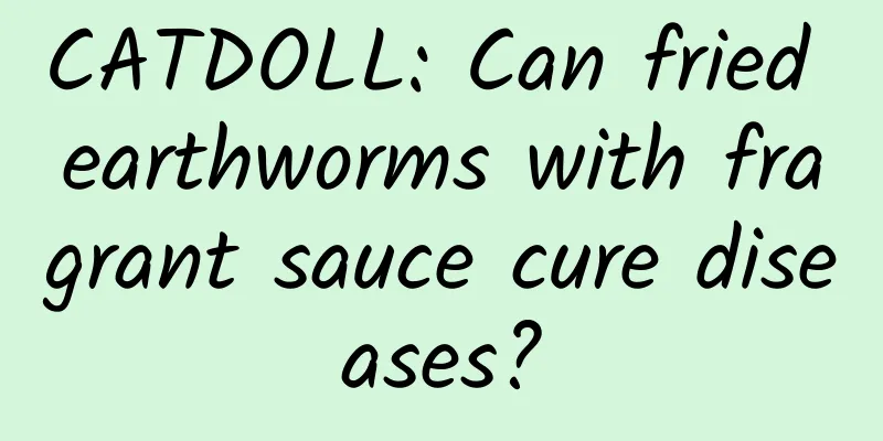 CATDOLL: Can fried earthworms with fragrant sauce cure diseases?