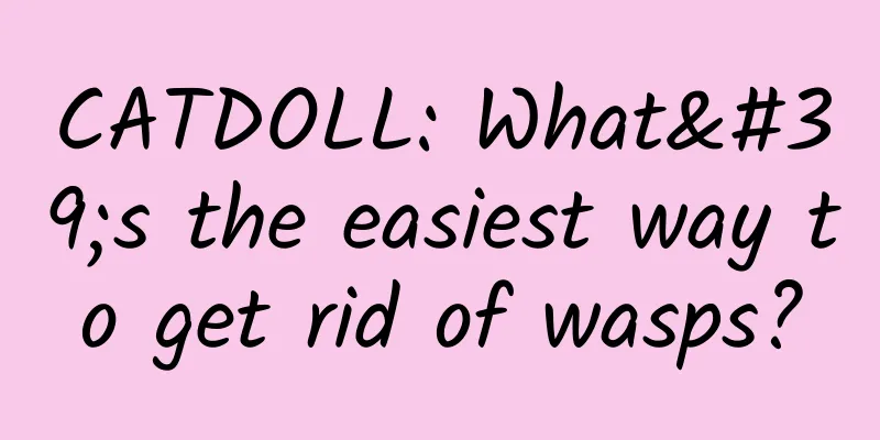 CATDOLL: What's the easiest way to get rid of wasps?